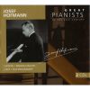 Download track Erlkonig ('Wer Reitet So Spät'), Song For Voice & Piano, D. 328 (Op. 1)