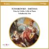 Download track Piano Trio For Violin, Cello And Piano In D Minor, Op. 15: I. Moderato Assai. Più Animato - Tempo Rubato - Tempo I - Poco A Poco Accelerando Sino Alla Fine