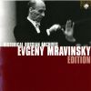 Download track Salmanov - Symphony №2 - I. The Song Of The Forest