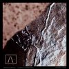 Download track After Life And Beyond
