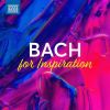Download track Keyboard Concerto In D Major, Bwv 1054: I. Allegro