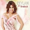 Download track Islanmışsın