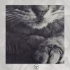 Download track Black & White
