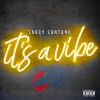 Download track It's A Vibe