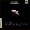 Download track 15 - Ganymed (Johann Wolfgang Von Goethe), D. 544