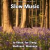 Download track Relaxing Music To Help You Sleep