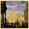 Download track Conerto For Oboe D'Amore BVW1055 - 02 Larghetto