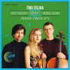 Download track Piano Trio No. 1, Op. 49: IV. Finale. Allegro Assai Appassionato