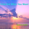 Download track Find Out What You Want