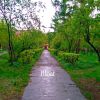 Download track Just A Machine