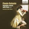 Download track Flute Quintetto No. 2 In C Major, G. 420, Op. 17: II. Minuetto. Amoroso