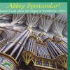 Download track Toccata & Fugue In F Major, BWV 540: Toccata And Fugue In F Major, BWV 540