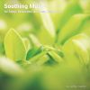 Download track Relaxing Music For A Romantic Atmosphere