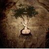 Download track My Adhesion