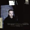 Download track Erlkönig D. 328