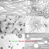 Download track Slap Bass Song