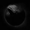 Download track We All Wanted To See In The Dark