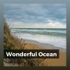 Download track Collecting Shells