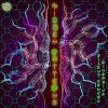 Download track Hidden Patterns