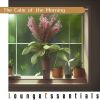 Download track Awakening Horizons Melody