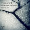 Download track 1.01. Grande Sonate, Op. 37 I. Moderato E Risoluto