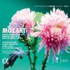 Download track 06. III. Rondo - Allegro