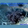 Download track Take The Fall (Extended Mix) (Cut From Del Mar Set)