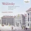 Download track String Quintet In E Flat Major, Op. 8 No. 3 - I. Allegro Non Tanto