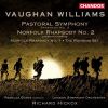 Download track 4. Symphony No. 3 Pastoral - III. Moderato Pesante - Poco Animato - A Tempo -...