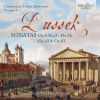 Download track Piano Sonata In A Major, Op. 43, Craw 177 II. Rondo. Allegro