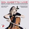 Download track Elgar: Cello Concerto In E Minor, Op. 85 - II. Lento - Allegro Molto