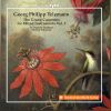 Download track Concerto In G Minor For 2 Oboes & Bassoon, TWV 53: G1: V. Allegro