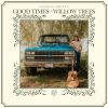 Download track A Simple Man
