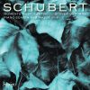 Download track Moments Musicaux, D. 780: No. 3 In F Minor. Allegro Moderato