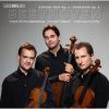 Download track String Trio In E Flat Major, Op. 3 - I. Allegro Con Brio