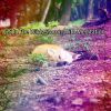 Download track Surround Yourself In Rain