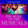 Download track Music Of The Night - Phantom Of The Opera