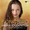 Download track Fantasie In C Major, Op. 159, D. 934: IV. Allegro Vivace - Allegretto - Presto