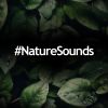 Download track Water Sounds For Sleeping Baby