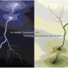 Download track 3. Symphony No. 5 - Andante -