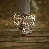 Download track When Does A Rainbow Occur In Nature