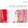 Download track Pisendel Violin Sonata In A Minor, JunP IV. 2 II. Allegro