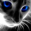 Download track Stories