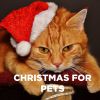 Download track Jingle Bells (Remastered 1999)