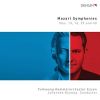 Download track 08. Symphony No. 29 In A Major, K. 201 - I. Allegro Moderato