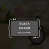 Download track Black Sugar
