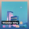 Download track Transient Sunset