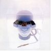 Download track Lizard Skin No Shoujo