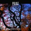 Download track Eleven Dimensions