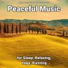Download track Meditation Music For A Romantic Atmosphere